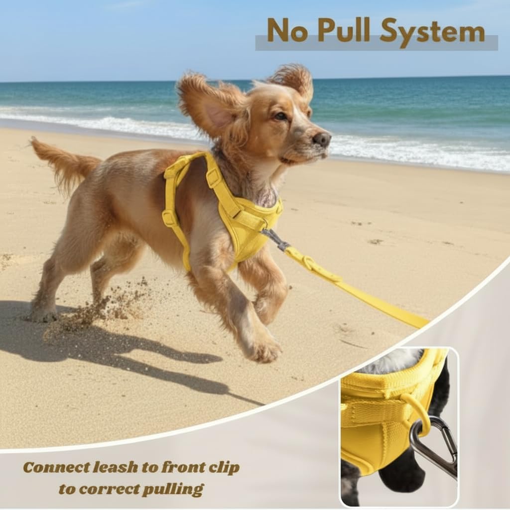 No Pull Dog Harness with 3 Leash Clips, Adjustable Vest, Easy Overhead Fit, No Choke Pet Vest, Soft Padding Chest Panel Gentle Leader for Dog Harness for Medium Dogs Yellow