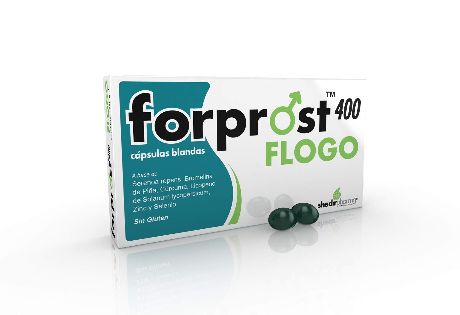 Forprost 400 Flogo
