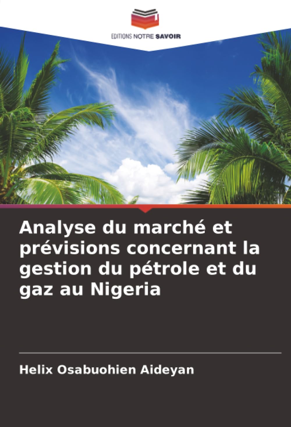 Analyse du marché et prévisions concernant la gestion du pétrole et du gaz au Nigeria