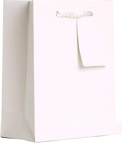 Miniatura 5 de JILLSON & ROBERTS Bolsas de regalo Hanukkah con tejido a juego, suministros de envoltura de regalo plateadoororealblanco, pequeñas, 6 unidades