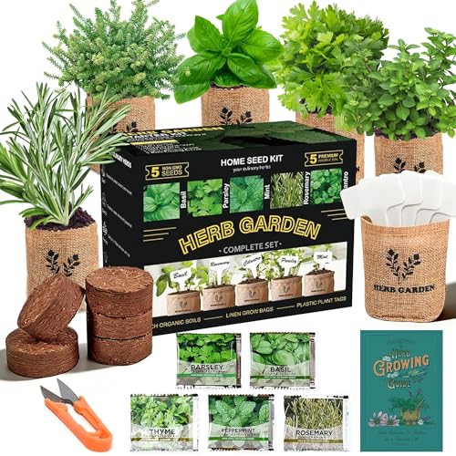 Meekear Kit de démarrage 5 herbes d'intérieur - Kit complet de plantation pour cuisine, jardin d'herbes aromatiques, bricolage et cadeau
