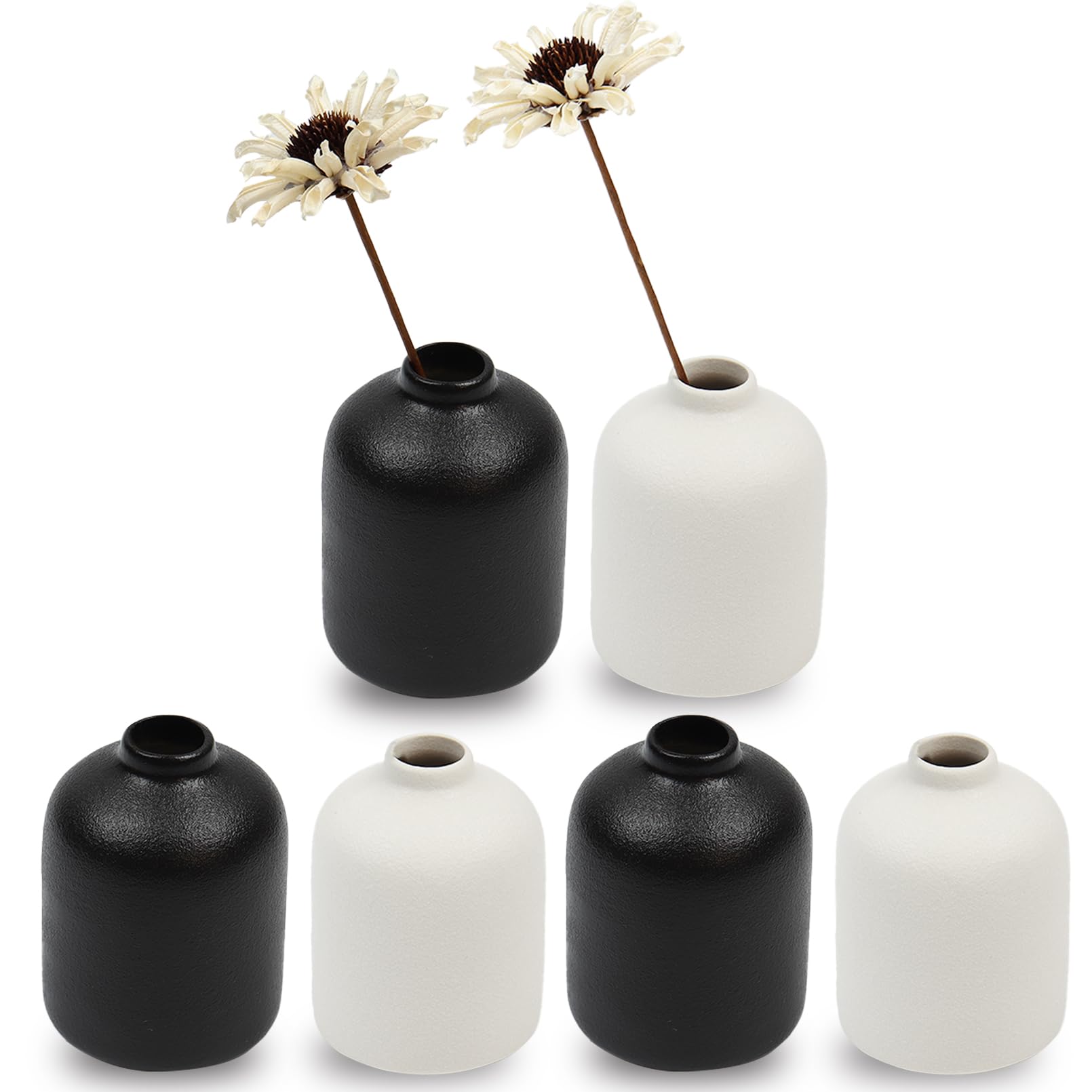 Ceramic Flower Vases Set of 6 Small Decorative Vases for Home Living Room Table Kitchen Wedding Office Decor (White, Black)