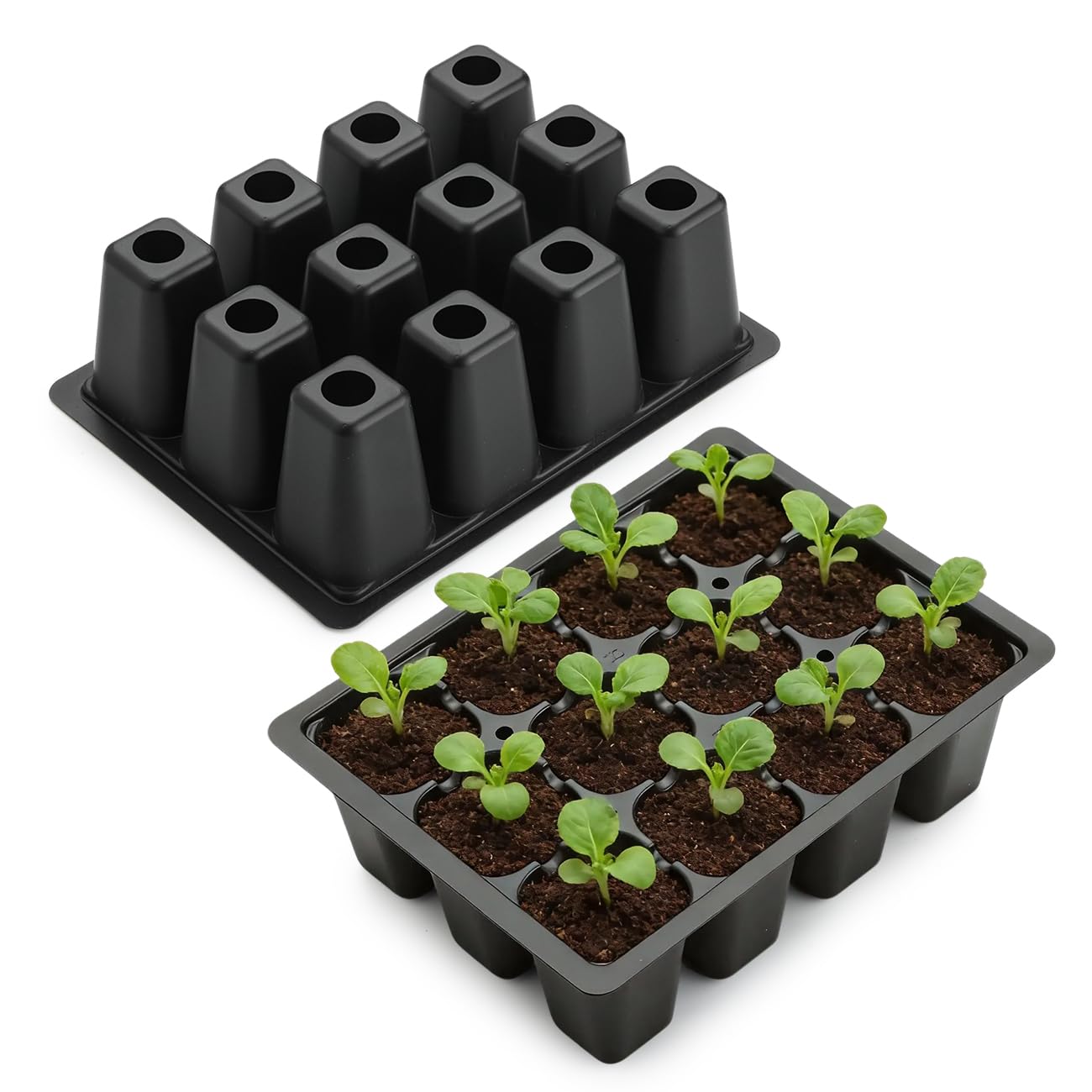 RooTrimmer Lot de 60 plateaux de démarrage de graines réutilisables à 12 cellules avec grands trous de drainage pour la germination des graines, faciles à rempoter, compatibles avec les plateaux plats