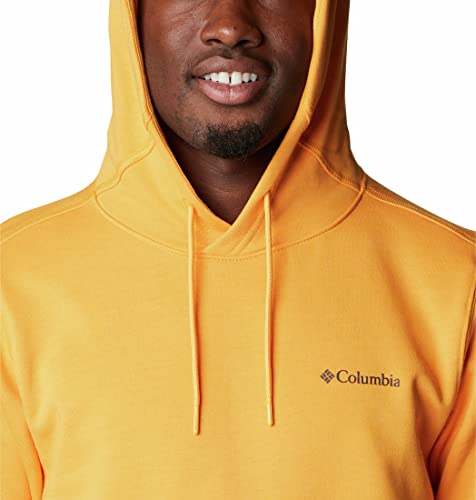 Image of Columbia Men CSC Basic Logo II Hoodie
