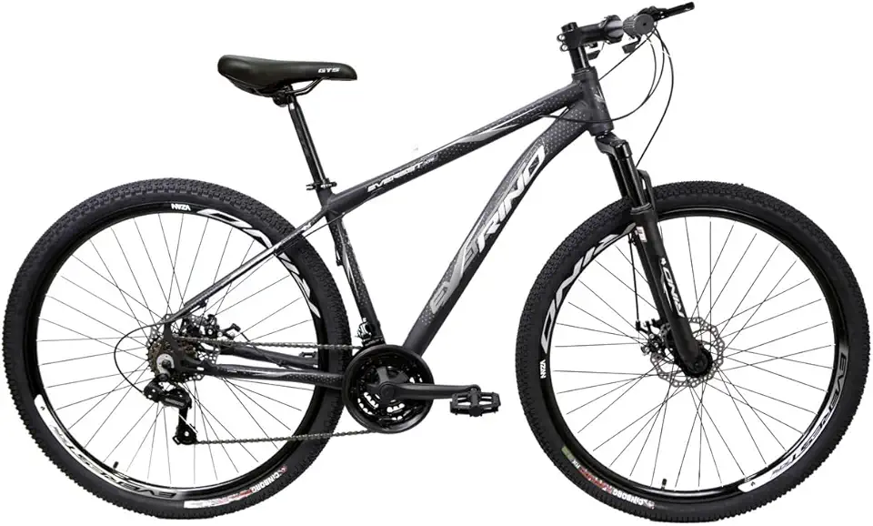 Bicicleta Aro 29 Rino Everest 24v – Freio a Disco, SHIMANO TZ, Rapid Fire, Aro Duplo, Cabeamento Interno