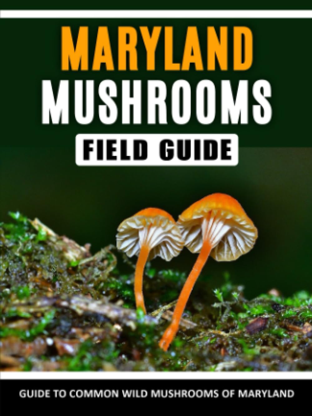 Mushrooms of Maryland Identification Field Guide to Common Wild Mushrooms in the Middle