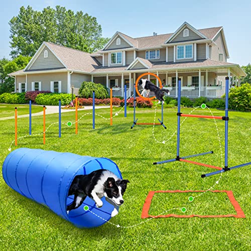 JMMPOO Agility Set Hunde, 65-Teiliges Agility Ausrüstung für Hundetraining Spiele mit Hundetunnel, Hürden, 8 Slalomstangen, Springring, 2 Tennis Ball Spielzeuge, Pause-Box, Leckerlibeutel, Tragetasche
