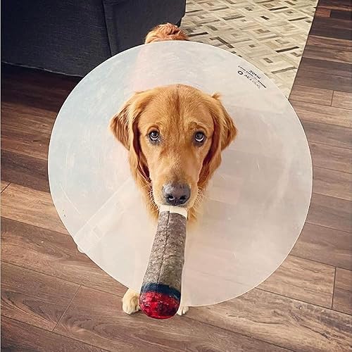 Miniatura 3 de Nestpark Doggy Doobie - Juguetes divertidos para perros, juguetes chirriantes de felpa para medianos, pequeños y grandes, relleno fresco para