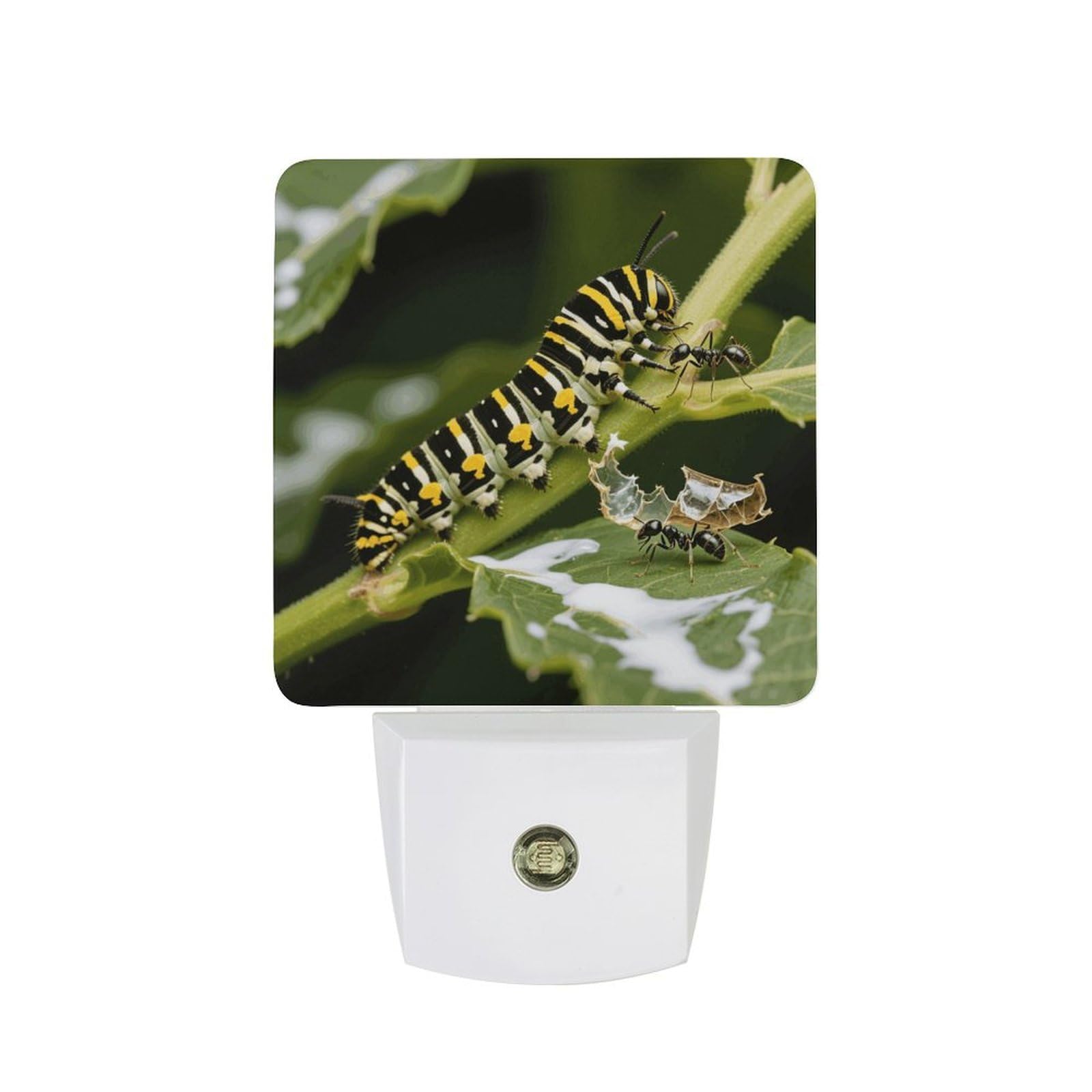 FodPand Night Light Plug Into Wall with Dusk to Dawn Sensor 0.5w Modern LED Monarch Caterpillar Plug in Night Lamp Warm White Glow Nightlight for Bedroom Hallway Kitchen Bathroom Stairs Corridor