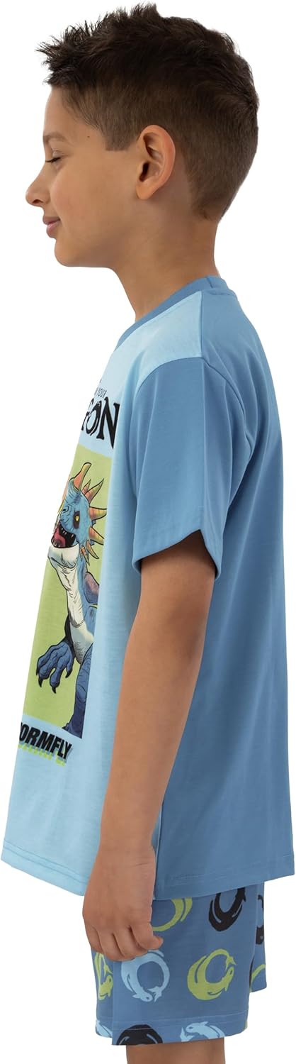 How To Train Your Dragon Pajamas, Long Sleeve Boys Pajamas, Fun Boys Pjs, Dragon Kids Pajama Set