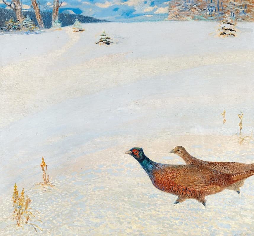Affiche toile Fasane dans la neige tableau de salon moderne pour decoration murale 60x90 cm