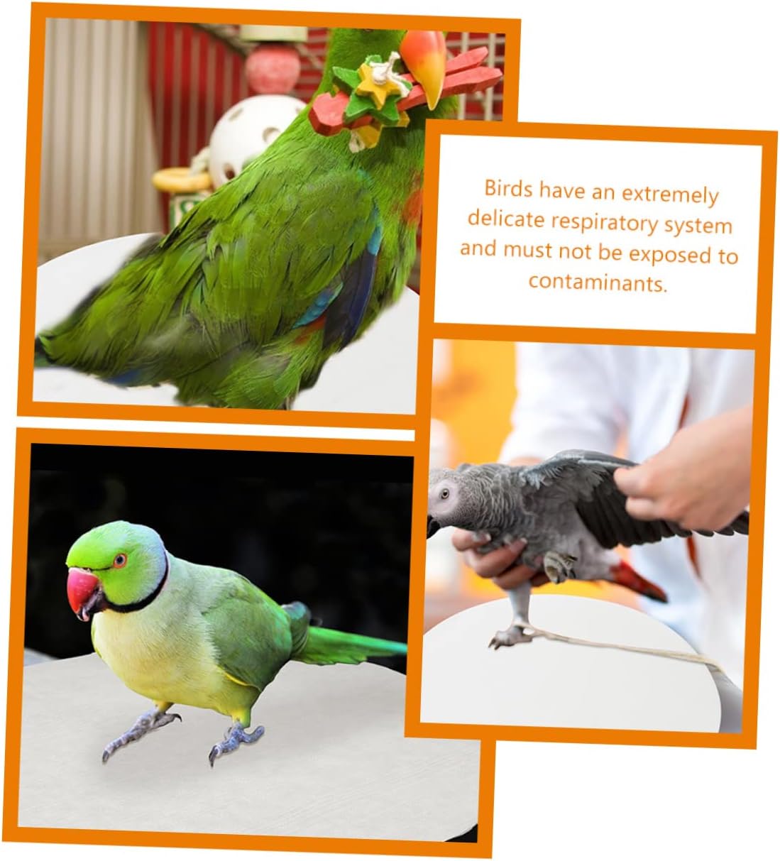 Mikikit 100pcs Bird Cage Liners Parrot Cage Pads Water Absorbent Cushion for Easy Cleaning for Birdcages and Parrots