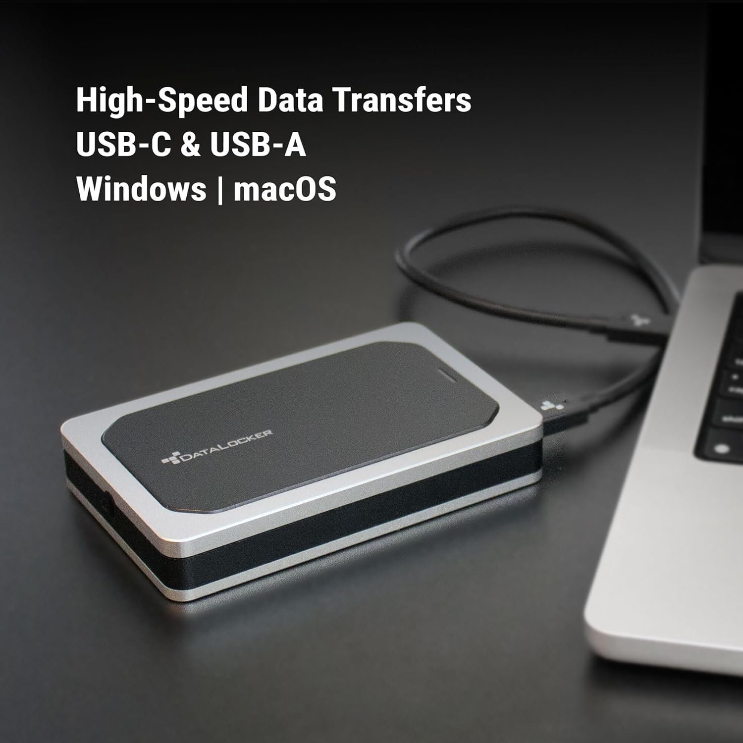 Datalocker Dl450 Fe Disco Rigido Esterno 2 Tb 5400 Giri/min 2.5 Usb TipO-C 3.2 Gen 1 [3.1 Gen 1] Alluminio, Nero (dl450 2tb Encrypted Ehdd Fips 140-3)