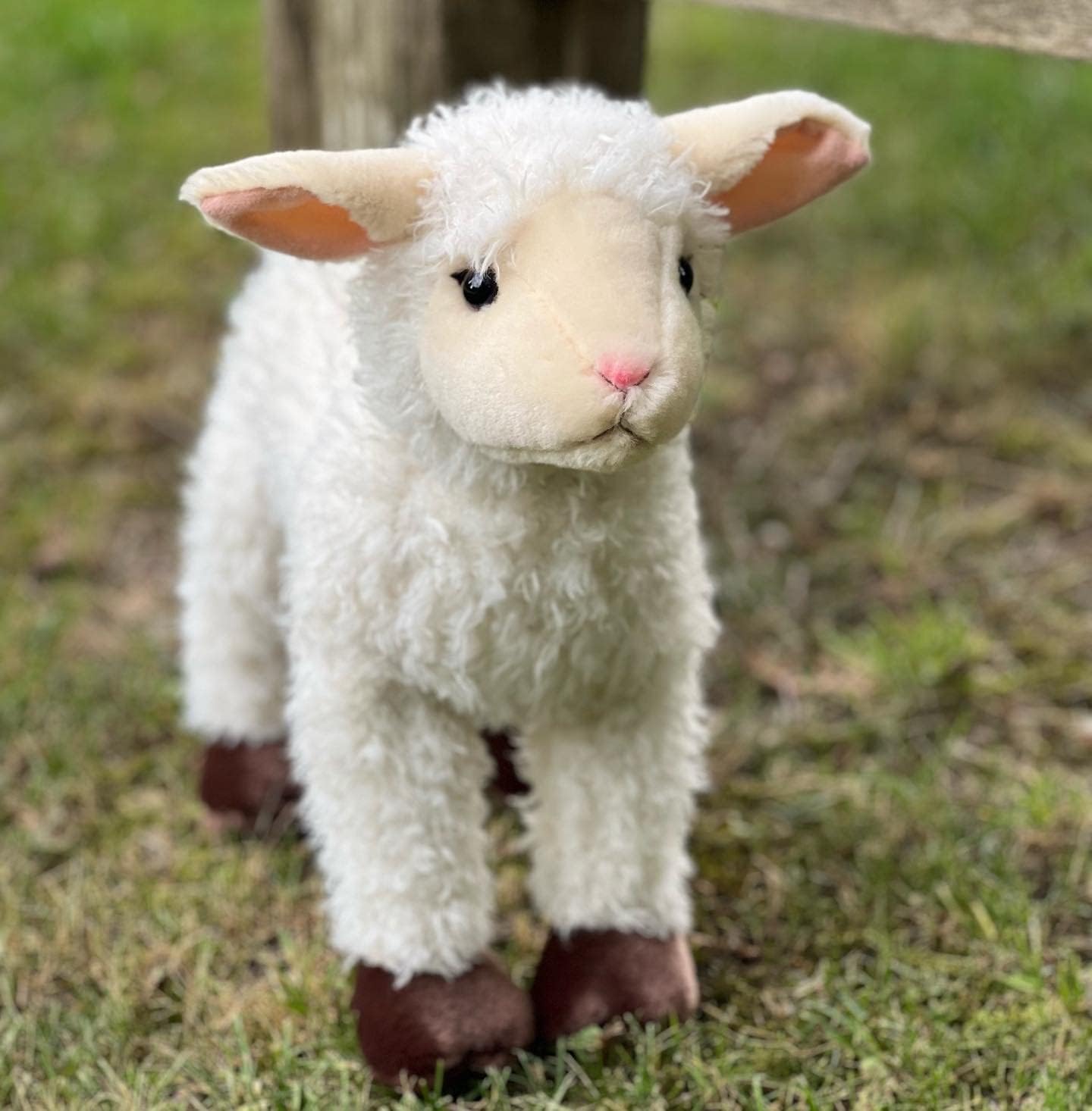 Auswella Plush Lamb- Plush Stuffed Animal - Image 2