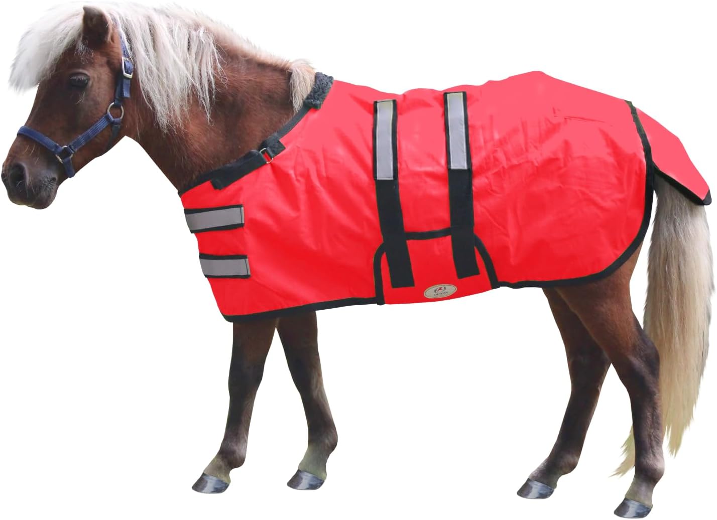 Derby Originals Mini Horse & Foal Winter Turnout Blanket – Reflective, No-Hardware Design, 600D Waterproof Outer, 150g Insulation, 170T Lining, Adjustable Fit, 1-Year Warranty