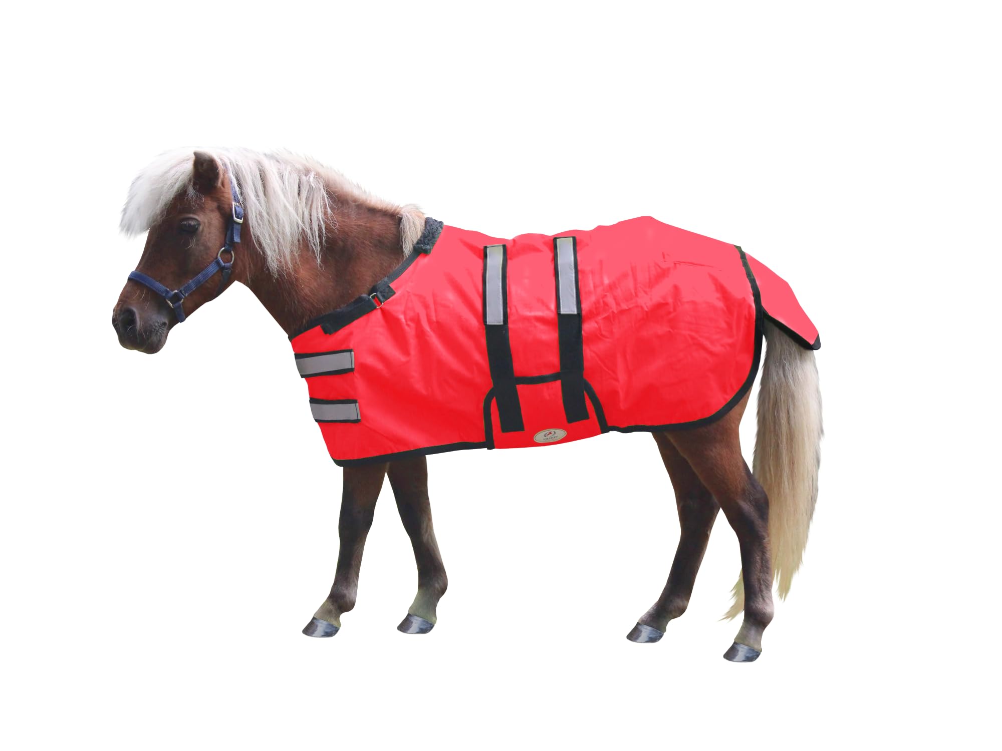Derby Originals Mini Horse & Foal Winter Turnout Blanket – Reflective, No-Hardware Design, 600D Waterproof Outer, 150g Insulation, 170T Lining, Adjustable Fit, 1-Year Warranty (Black, Small)