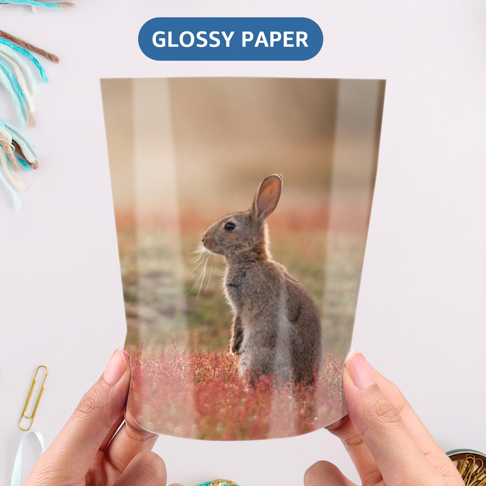 Fotopapier   Shop | fotopapier van de allerbeste kwaliteit in Nederland   Premium fotopapier parelglans microporeus 10x15 cm M SG 290 10