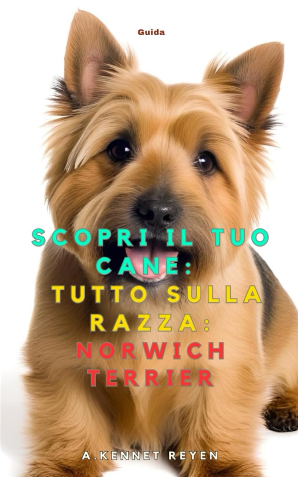 Scopri il tuo Cane:Tutto sulla razza: Norwich Terrier