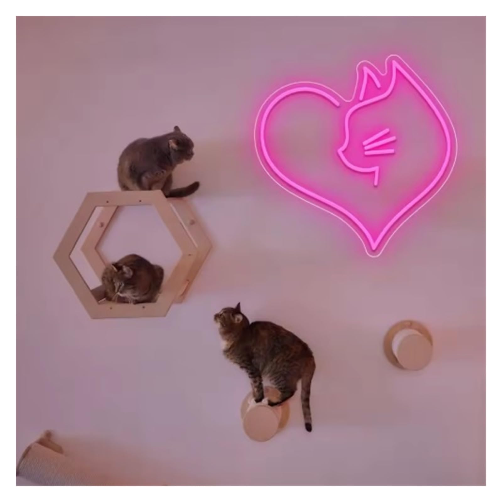 néon signe Enseigne Au Néon Chat, Alimentée Par USB, Décoration Murale Esthétique, Lampe Décorative Polyvalente Pour Chambre Mignonne, 35cm(UNE)