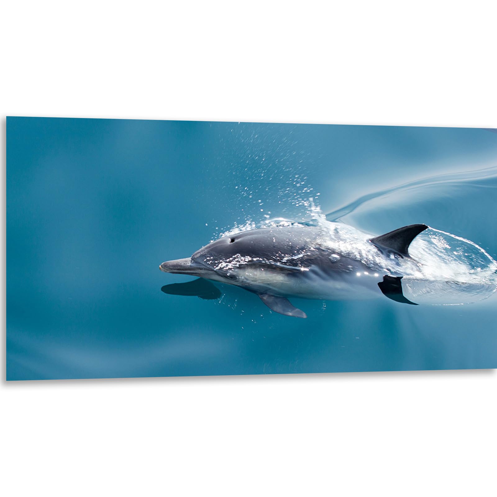Instarry 5D Diamond Painting Quadri Grandi Dimensioni Simpatico Delfino Decorazione per Casa e Pareti 120x60 cm