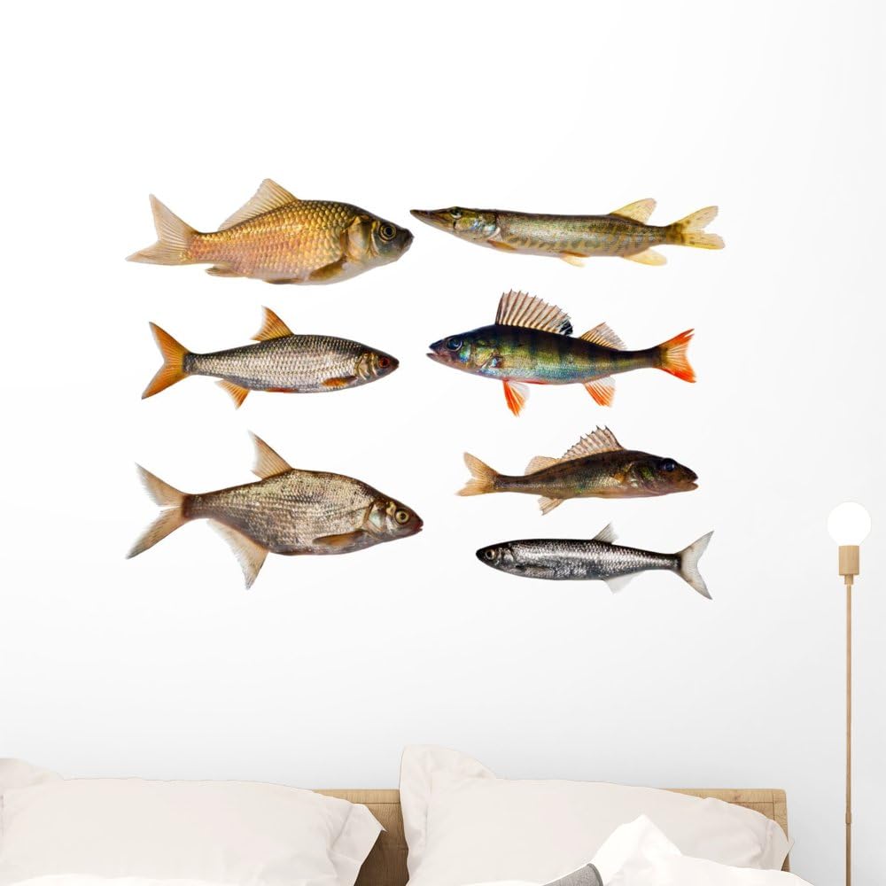Wallmonkeys Seven Freshwater Fish Wall Decal Sticker Set Individual Peel and Stick Graphics on a (36 in W x 27 in H) Sticker Sheet WM422719