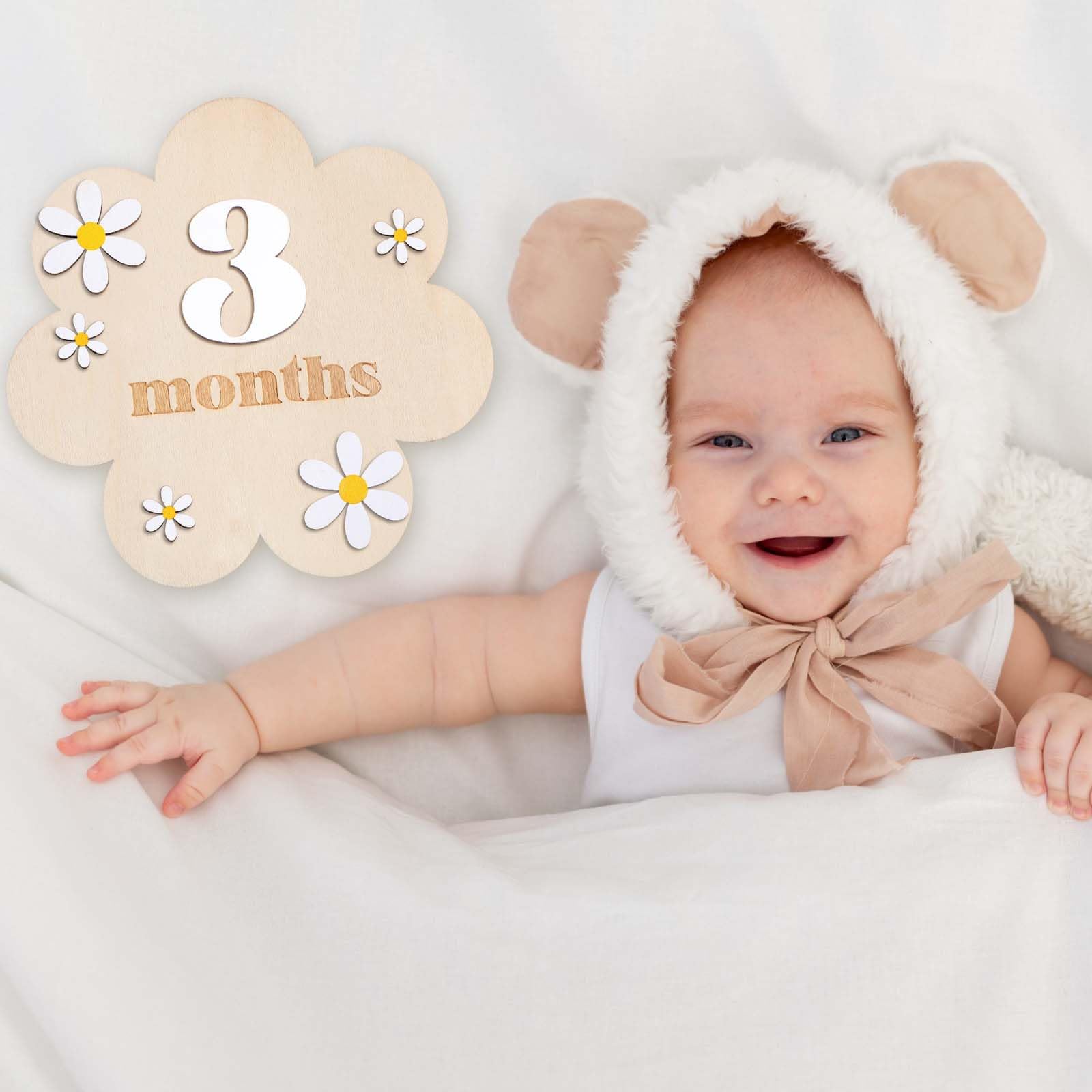 Milestone Signs Burbell 3D Wooden Daisy Baby Monthly Milestone Sign ...