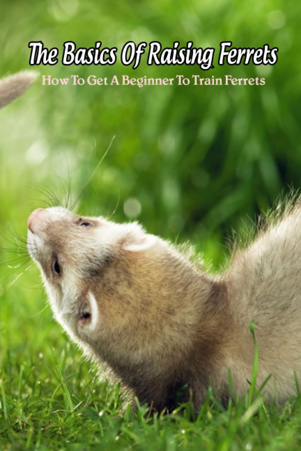 The Basics Of Raising Ferrets: How To Get A Beginner To Train Ferrets: Easy Ways To Raise Ferrets