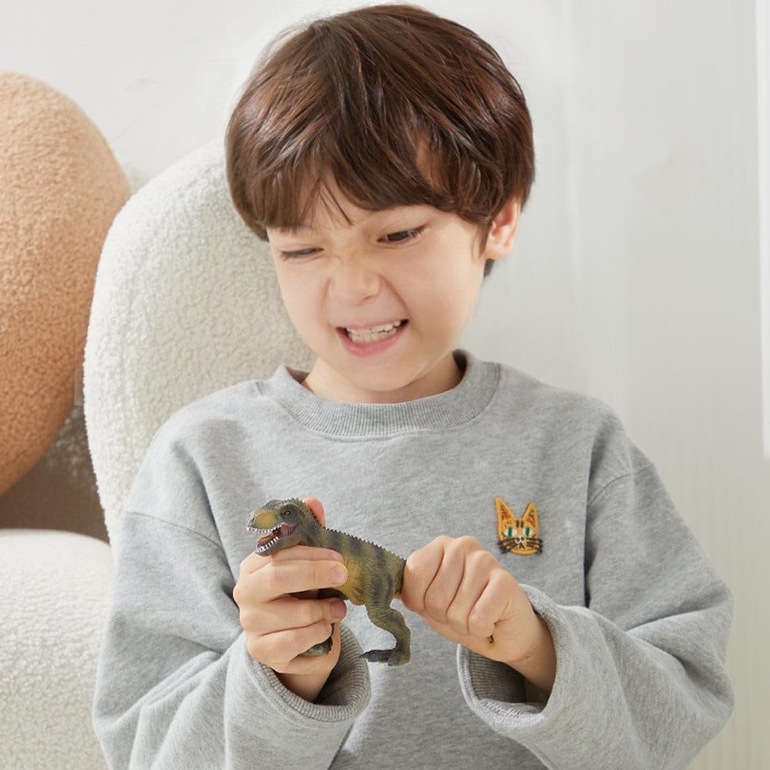 Mideer Juego de coleccionista de dinosaurios 24 piezas