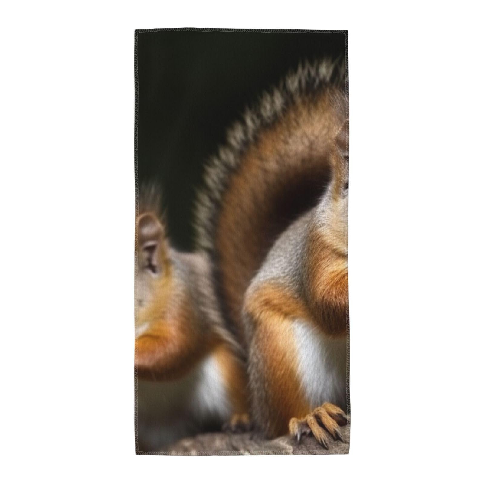 FodPand Microfiber Hand Towels for Bathroom, Soft Absorbent Decorative Face Towel Squirrel Animal Guest Bath Towel 12"X24" Kitchen Dish Towel for Bathroom Kitchen Hotel Gym Spa Towels