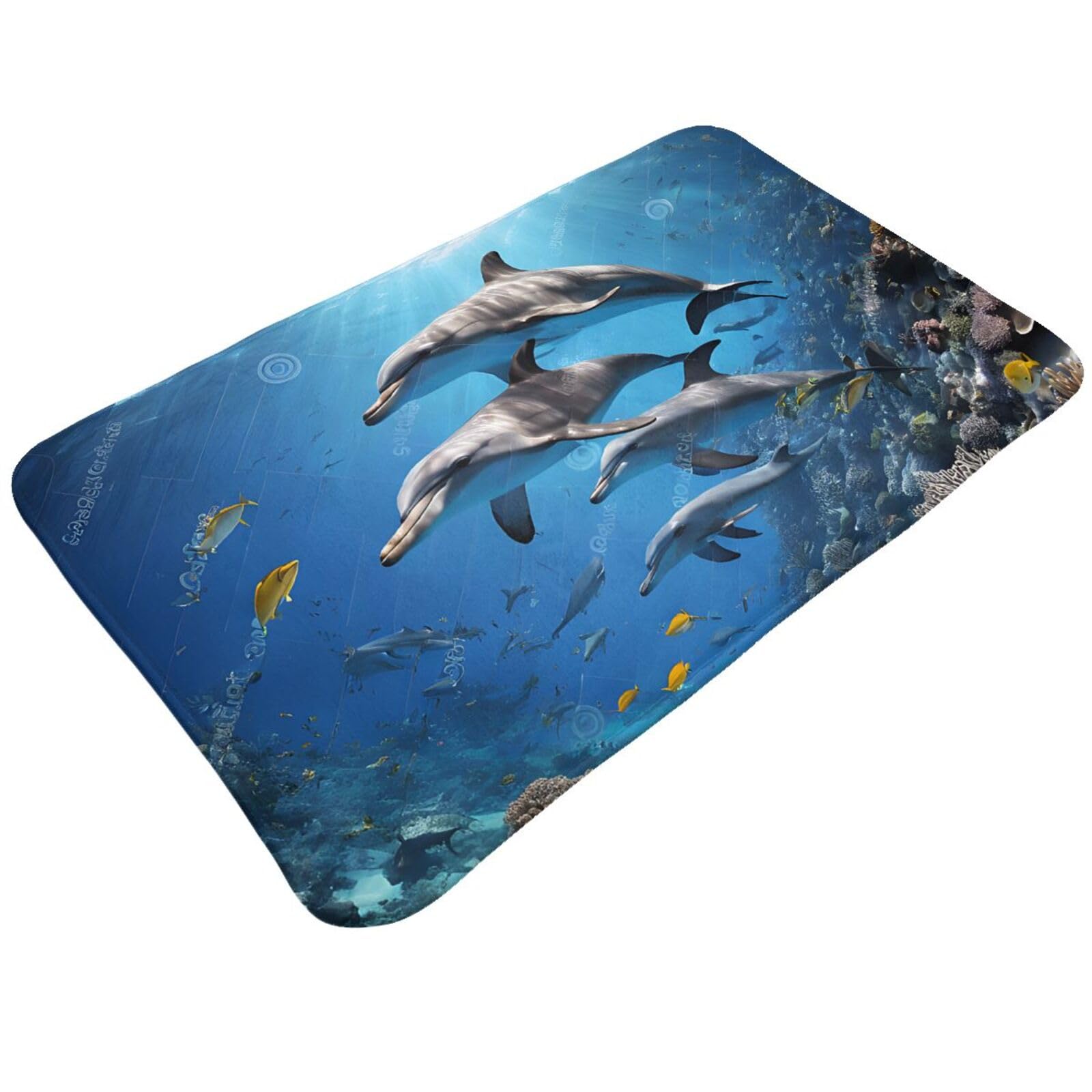 Killer Whale Print Print Living Room Bathroom Kitchen Anti Slip and Absorbent Carpet, Indoor Entrance Door Muddy Floor Mat, Ultra Soft Washable Carpet 21x31.5 Inches