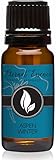 Aspen Winter Premium Grade Fragrance Oil - Scented Oil (10ml)