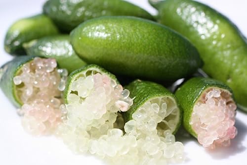 Finger Limes más bien conocidas como caviar cítrico (0.18 onzas)