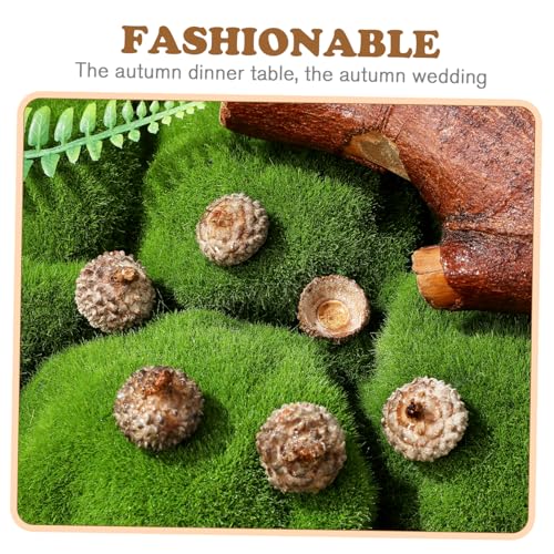 Cáscaras naturales de bellota para manualidades 50 piezas miniatura 3