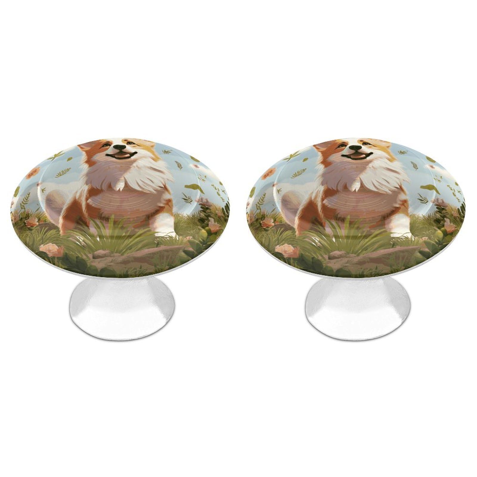 FekiLoot Lovely Corgi Cabinet Knob Kitchen Drawer Knob Stainless Steel Round Drawer Pulls Modern Cabinet Hardware Vintage Dresser Drawer for Kitchen Bathroom Closet Dresser Cabinets