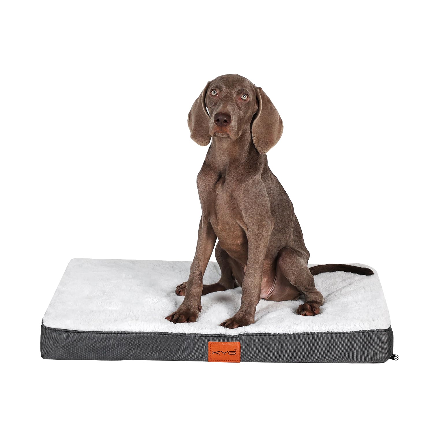 KYG Cojín Grande para Perro, Cama para Perro, Cama para Perro Interior de Espuma de Huevo, Colchón para Perro con Forro Impermeable, Estera para Eerros Extraíble y Lavable, Gris, 76 * 50 * 7.5cm