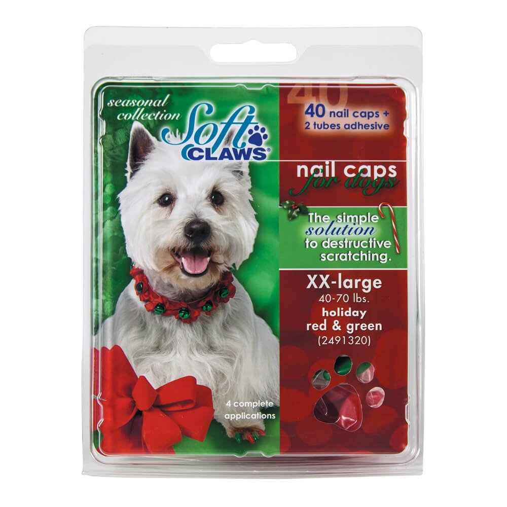 Capuchons à griffes souples pour chiens XXL protection meubles tapisserie
