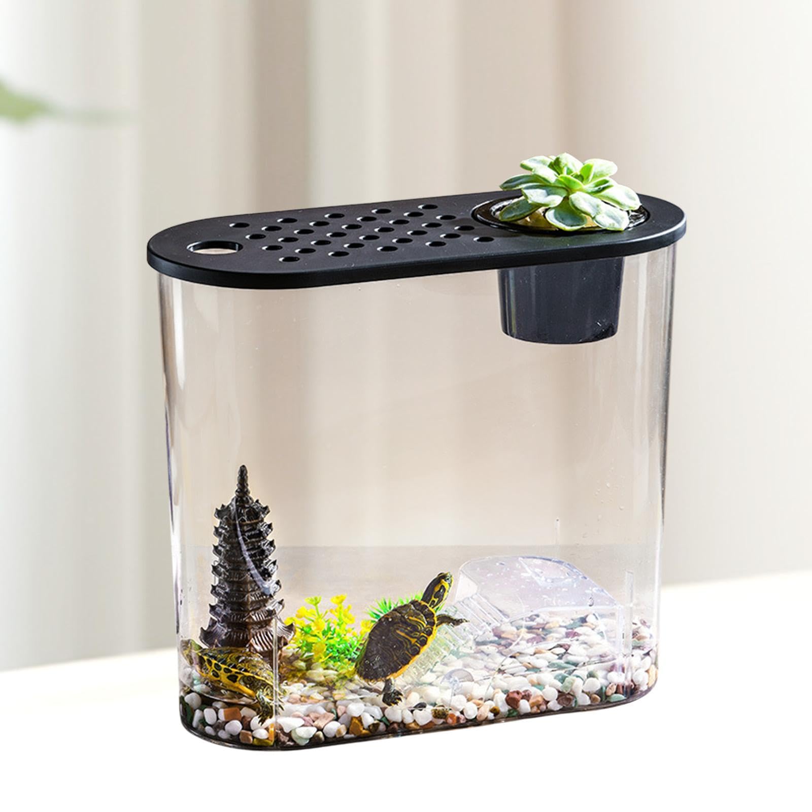 Aquarium Petit Contenant à Poissons de Bureau Mini avec Fenêtre Claire Matériel PP Couvercle Ventilé Détachable Utilisation Hydroponique pour, Couvercle Noir