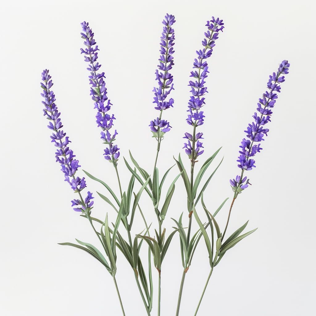 100 Real Lavender Seeds - SemiSauvage Permaculture