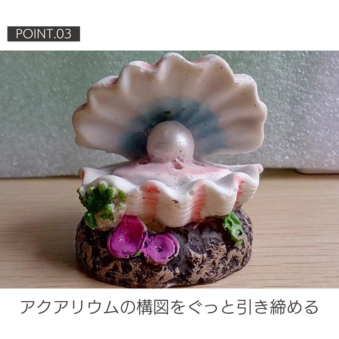 貝の置物 Amazon | [AiO JAPAN] アクアリウム 貝殻 オブジェ 水槽 置物