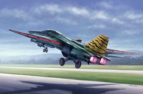 Hobby Boss Kit de construcción de modelo de avión Aardvark FB-111