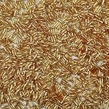 Cuentas de tubo de corneta de vidrio, espaciador, 300 piezas de cornetas torcidas de 2x6 mm, semillas sueltas, joyería for coser tela, hacer suministros de costura DIY(Gold)