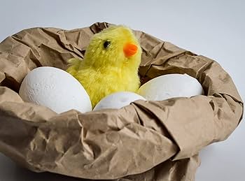 いも Amazon.com: Toyvian Clockwork Chicken Jumping Chick Wind Up