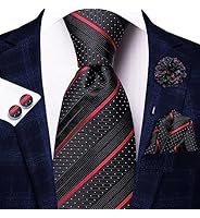 DiBanGu Cravatta da uomo Paisley formale in seta e fazzoletto da taschino gemelli fermacravatta per festa di nozze ballo di fine anno, Argento Paisley, Taglia unica