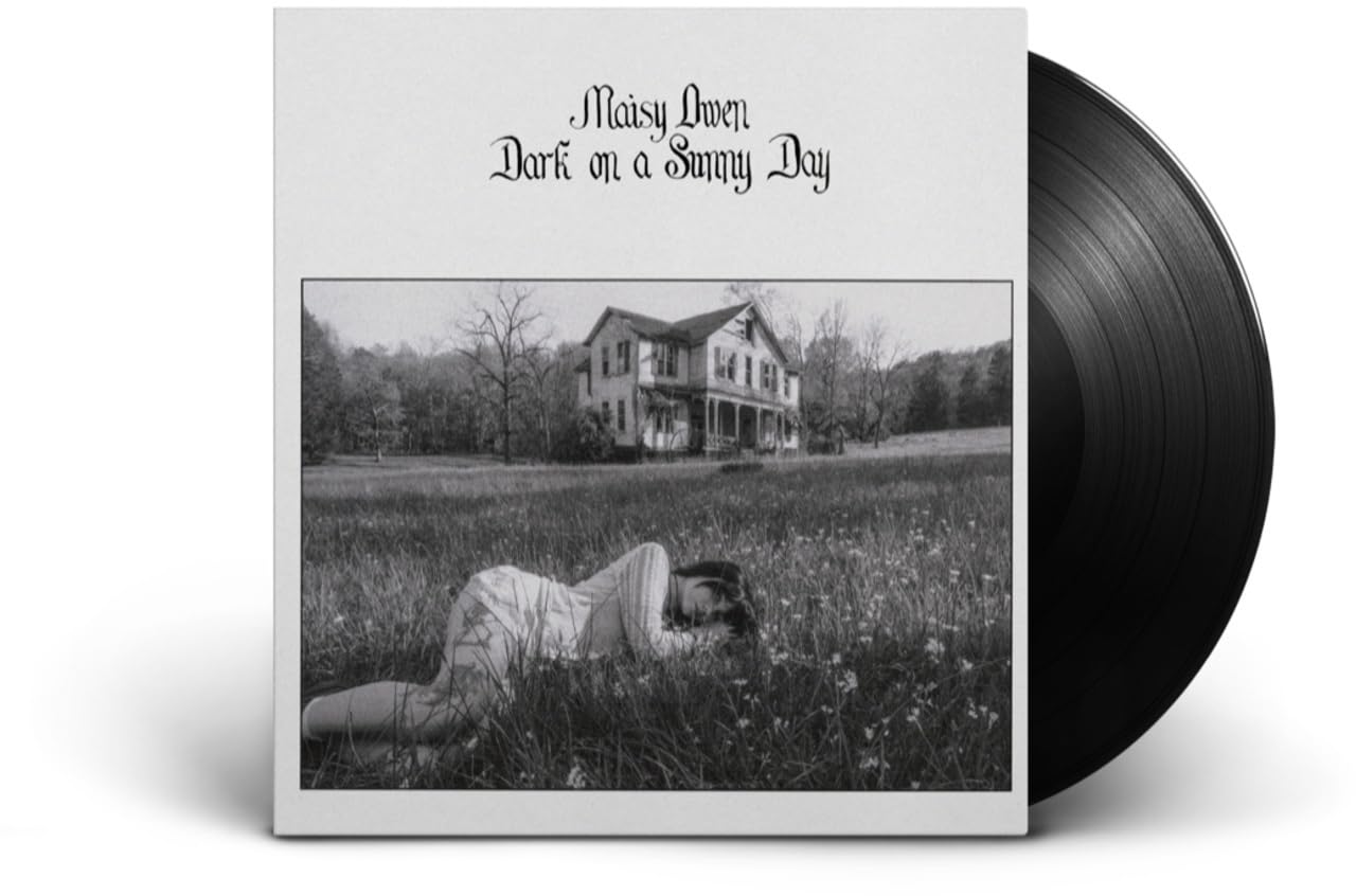 Dark on a Sunny Day [VINYL]