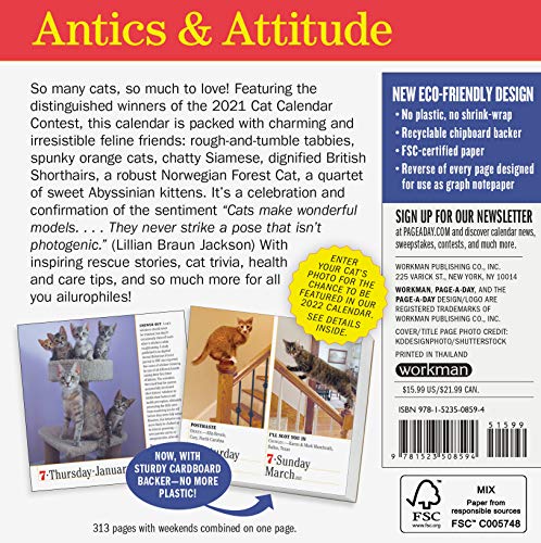 Snapklik.com : 365 Cats Page-A-Day Calendar 2021