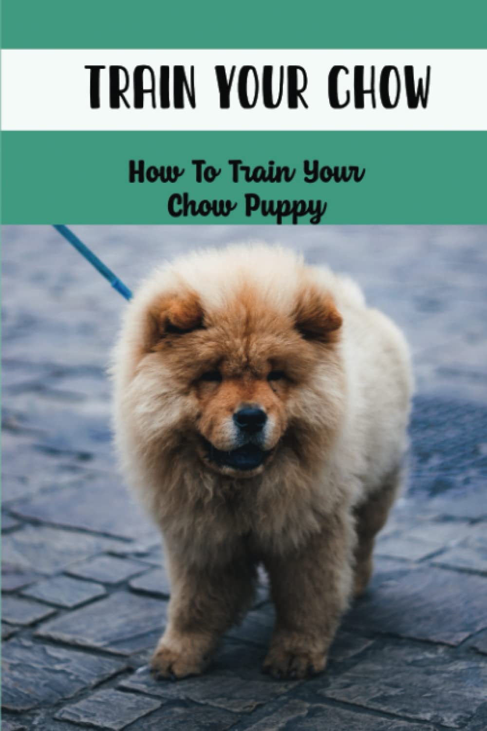 Train Your Chow: How To Train Your Chow Puppy