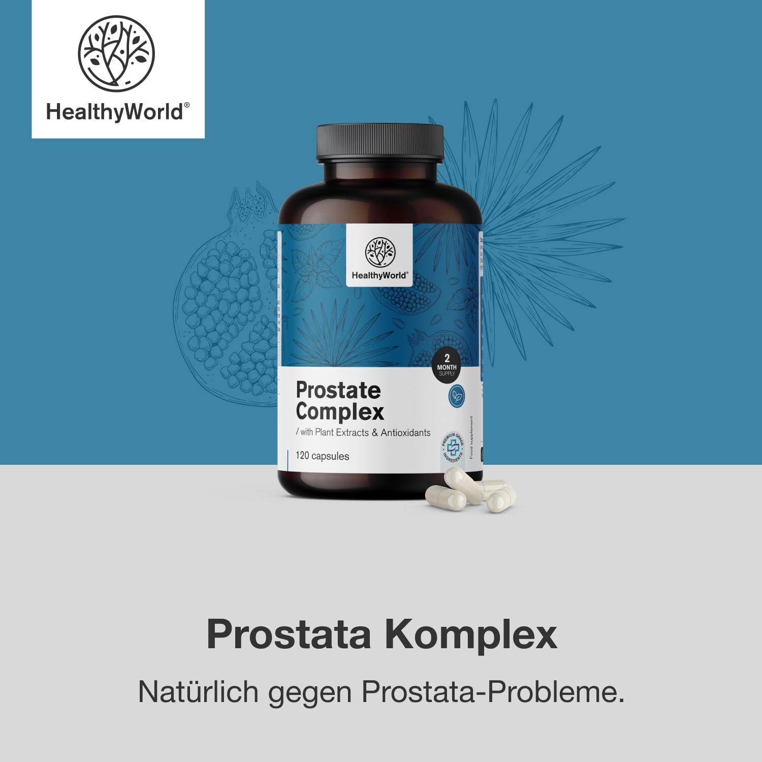 HealthyWorld® Prostata Komplex - Für Männer - 120 pflanzliche Kapseln - Mit Kürbiskernen, Granatapfel, Brennnessel, Sägepalme, Vitamin E, Zink und Selen - Unterstützung der Prostata