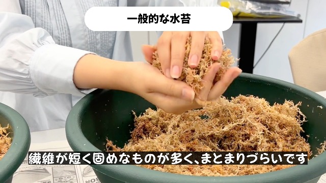 日清ガーデンメイト 超圧縮水苔 40L ニュージーランド産