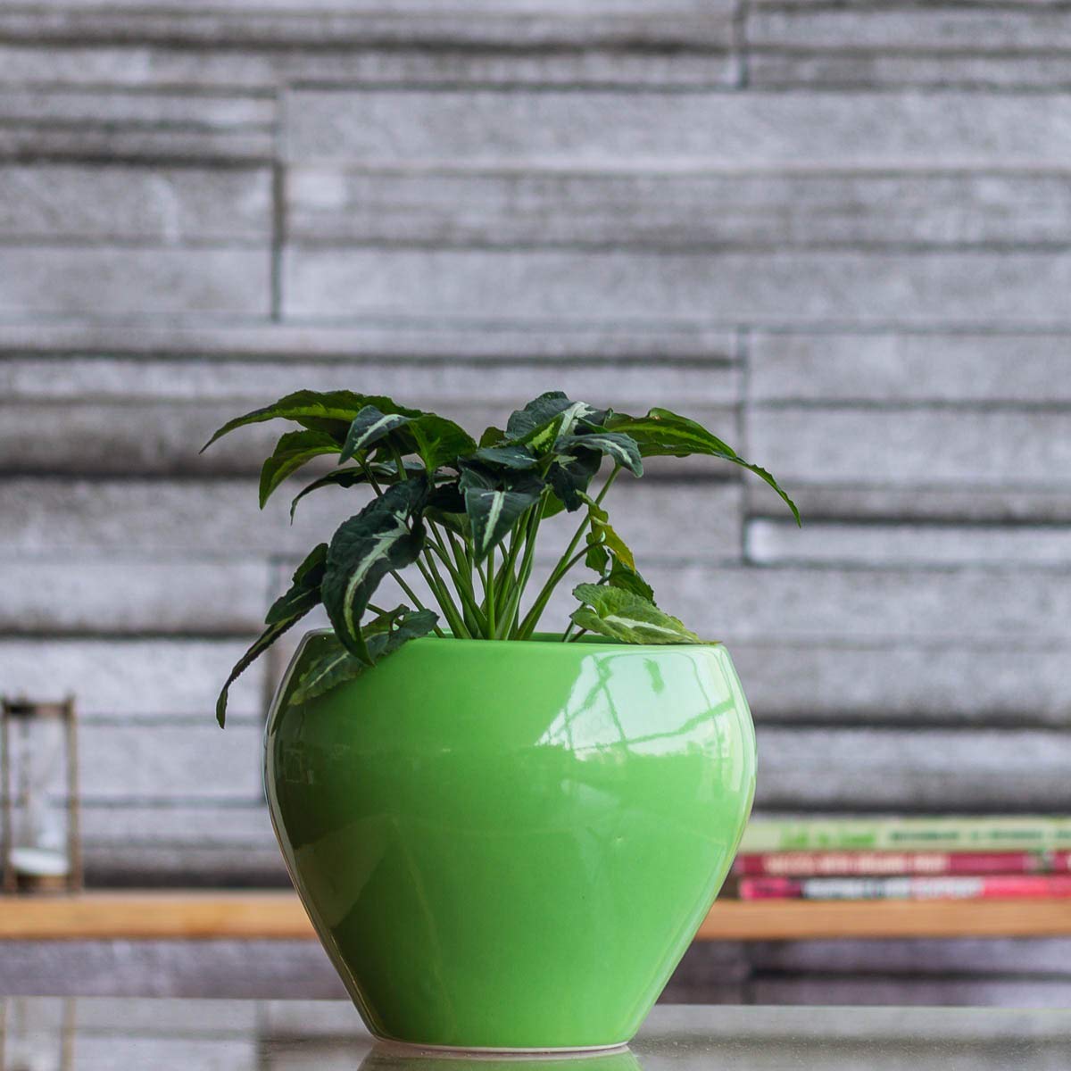 UGAOO Apple Ceramic Pot (Big, Light Green) (B01N3UBCMA) Amazon Price History, Amazon Price Tracker