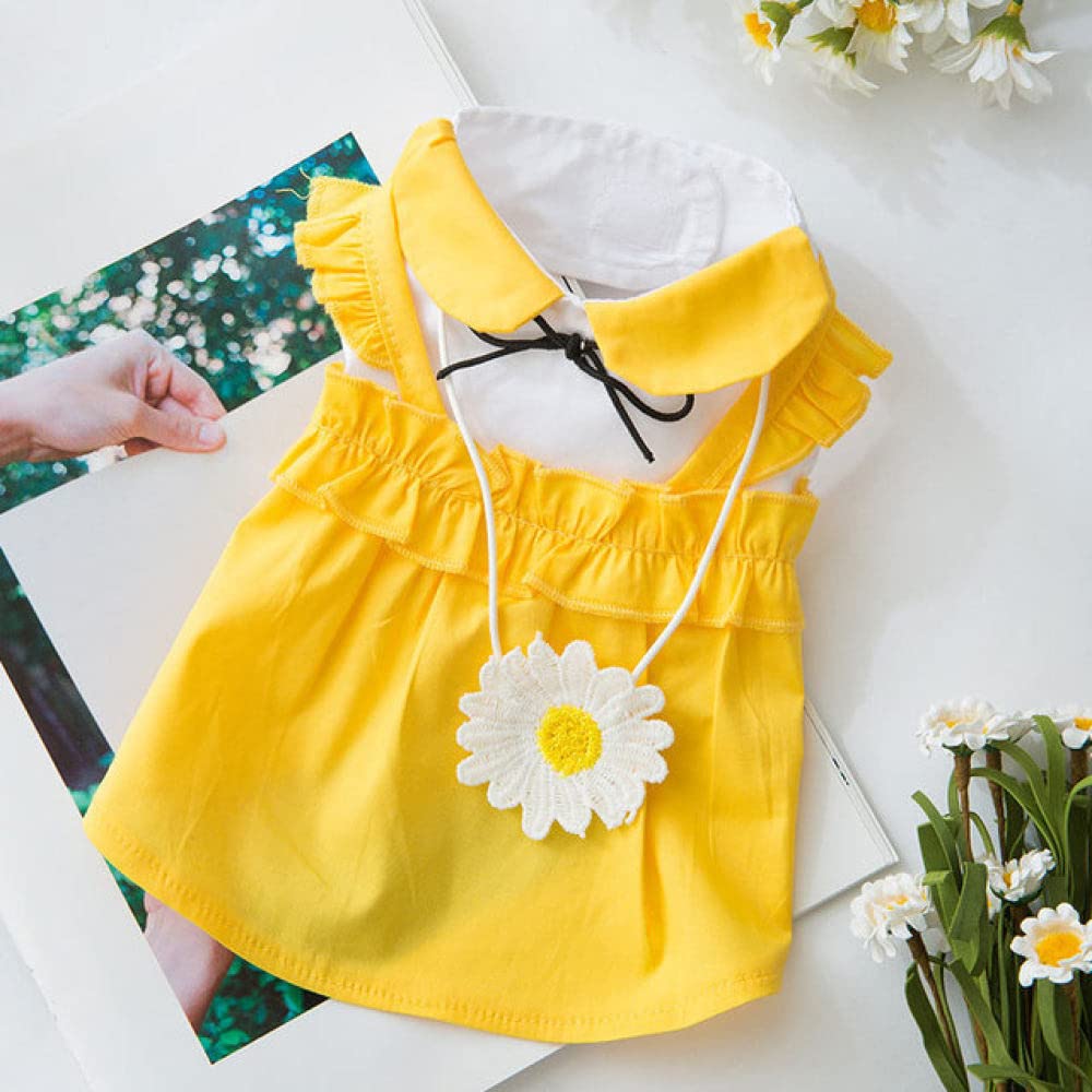 Costume mignon en coton pour très petit chien qui reste au frais tout l'été